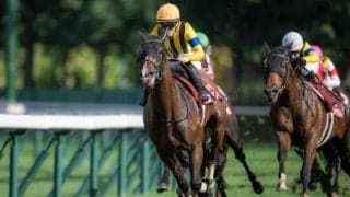 【香港カップ】過去5年では日本馬は3勝…プログノーシスなど日本勢3頭参戦