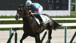 【阪神JF予想】今年もアルテミスS組に要注意 過去10年データから読み解く阪神JF