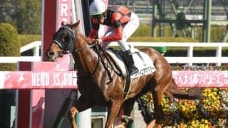 阪神芝は内＆前ベター 外差しは厳しいか