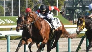 【阪神5R新馬戦結果】ドゥラメンテ産駒の3億円馬ストーンズがV