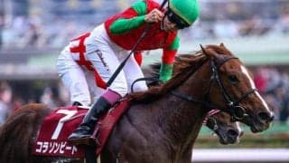 【阪神JF・馬体重】コラソンビートは438kg(-4)、サフィラは442kg(±0)