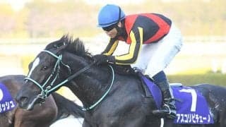 【阪神JF】アスコリピチェーノ、無傷の3連勝で2歳女王！