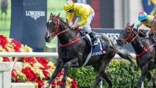【香港スプリント】ラッキースワイネスがG1・4勝目…日本勢は着外