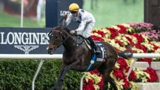 【香港マイル】ゴールデンシックスティが圧勝…3度目の制覇