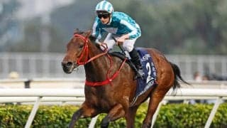 【香港カップ】ロマンチックウォリアーが連覇達成！ ヒシイグアス僅差の3着