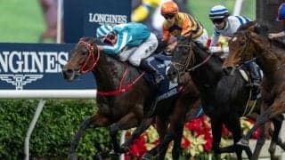 【香港カップ】大接戦のゴール前！香港ロマンチックウォリアーが凌ぐ…ヒシイグアスは3着