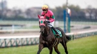 【ターコイズS】ミスニューヨーク、サウンドビバーチェらが登録