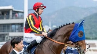 【香港カップ】田中博師「申し訳ない気持ちです」ローシャムパークは8着敗退