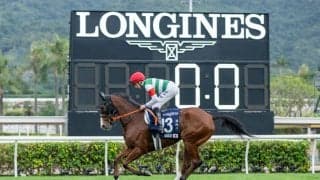 【香港マイル】高野師「力を振り絞って走ってくれた」ナミュールは3着