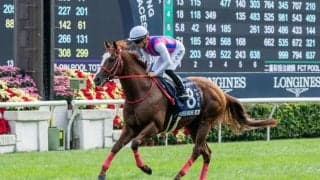 【香港スプリント】森師「（香港馬は）強かった」…日本勢敗退