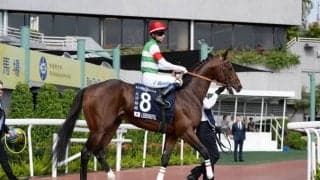 【香港ヴァーズ】田中博師「馬に申し訳ない」1番人気レーベンスティールはまさかの最下位