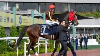 【香港ヴァーズ】斉藤崇師「よく踏ん張ってくれた」ラストランのジェラルディーナは4着まで