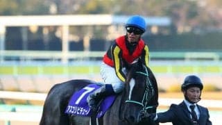 【阪神JF】北村宏「リズム重視で運んだ」アスコリピチェーノが2歳無敗女王