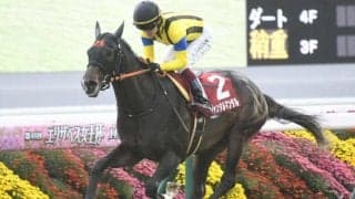 2歳マイル王決定戦・朝日杯FSと牝馬のハンデ戦ターコイズS/今週の競馬界の見どころ