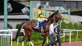 【香港ヴァーズ】ゼッフィーロは惜しい2着…レース後コメント