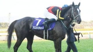 【阪神JF】売上は137億7416万2700円で昨年より約4億円減少