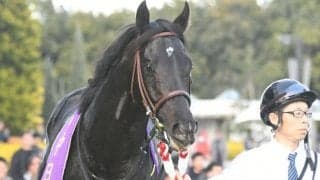 【中日新聞杯】売上は36億7832万7200円で昨年より約5億円減少