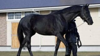 22年ジャパンC覇者ヴェラアズール 種牡馬生活送る優駿SSに到着