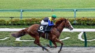 【川崎・神奈川記念枠順】今年のみ開催される中央・地方の交流重賞 2億円馬ユティタムは5枠5番