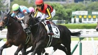 ターコイズS想定騎手22頭 コナコーストは鮫島克駿騎手、ヒップホップソウルは横山武史騎手