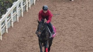 マルモアなど、先週のゲート試験/栗東トレセンニュース