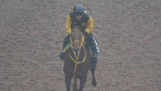 Meadow Breezeの2021(グランメドウ)など、先週の入厩情報/栗東トレセンニュース