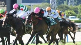 きょうだい悲願のGI制覇へ 小倉2歳S覇者が朝日杯FSでマイル克服だ