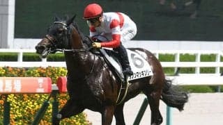 【朝日杯FS予想オッズ】ダノンマッキンリーが予想1番人気