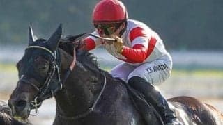 朝日杯FSに無敗の2億超ホース参戦 史上最高額の2歳王者誕生なるか