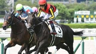 【ターコイズS予想オッズ】コナコーストが予想1番人気