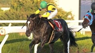 【全日本2歳優駿注目馬】ダート2歳王者はどの馬に… 全国から素質馬揃うJpnI競走