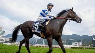 ヒシイグアス、ゼッフィーロなど 香港国際競走に遠征していた日本馬14頭が帰国