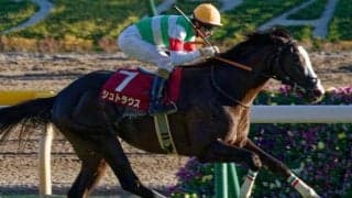 T.マーカンド騎手がJRA重賞初制覇へ 朝日杯FSで東スポ杯2歳S覇者とタッグ