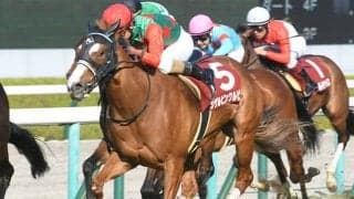 21年フィリーズレビュー覇者シゲルピンクルビーが競走馬登録を抹消
