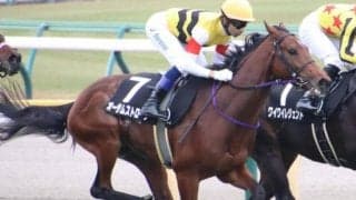 伊藤圭三厩舎が17年ぶりのJRA・GI参戦 朝日杯FSで悲願の初制覇なるか