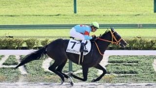 【神奈川記念】キャリックアリードは3枠3番