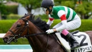 武英智厩舎が悲願のGI初制覇へ 朝日杯FSは軽視禁物の2頭で参戦