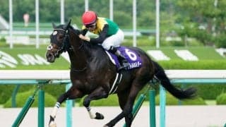 タイトルホルダーの引退式…12月24日に中山競馬場