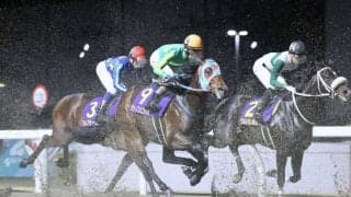 【全日本2歳優駿】和田竜「内からぶつけられたのが致命的」サトノフェニックスは5着敗退