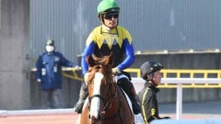 【神奈川記念注目馬】今年限りの記念重賞 歴史に名を刻むのは中央勢か地方勢か