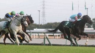 【中日新聞杯】ヤマニンサルバムが重賞初制覇…好位から抜け出す