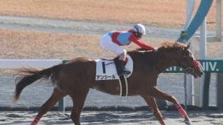 【新馬/中京5R】パイロ産駒 アンシールがデビューV