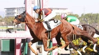 【新馬/阪神4R】母はアロマティコ、チルカーノがデビュー勝ち