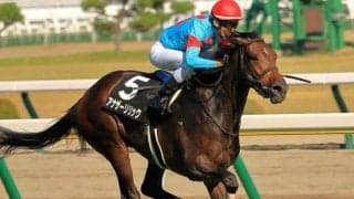 ターコイズS予想 昨年の7着馬が55.5kgなら復活あるぞ