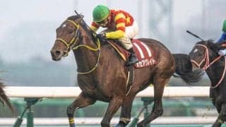 20年のステイヤーズSを制覇 オセアグレイトが登録抹消