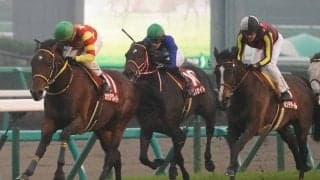 オセアグレイトが競走馬登録抹消