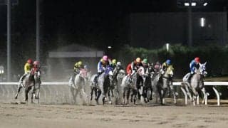 ひと足早いクリスマス到来!? 芦毛馬14頭参戦のホワイトクリスマス賞