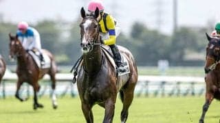 【ターコイズS予想】上がり最速馬は不振 求められるのは瞬発力より器用さ