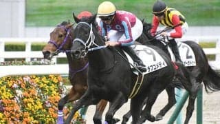 【阪神5R新馬戦結果】ノーネイネヴァー産駒のラブコメディが抜け出し快勝