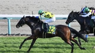 【ヤングJSFR中山1】川崎競馬若手のホープ、野畑凌が鮮やかな差し切り…「気持ちで負けないように追いました」